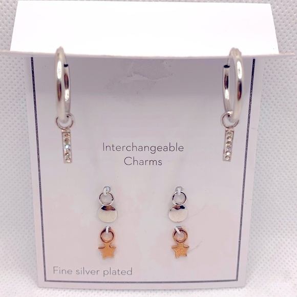 Gold and Silver Interchangeable Earrings Set with Charms - Picture 2 of 8